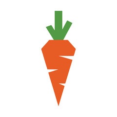vector carrot on a white