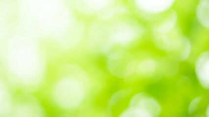 Abstract green bokeh background with soft light and nature tones  