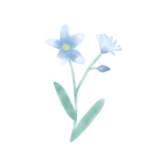 수채화 꽃일러스트