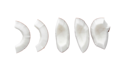 Arrangement of five white coconut pieces, varying in shape and size, displayed in a horizontal line on a flat surface. pure white background