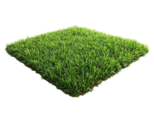 PNG of Vibrant green grass patch showcasing fresh, healthy vegetation.