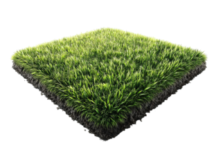 PNG of Vibrant patch of green grass creating a lush and inviting outdoor space.
