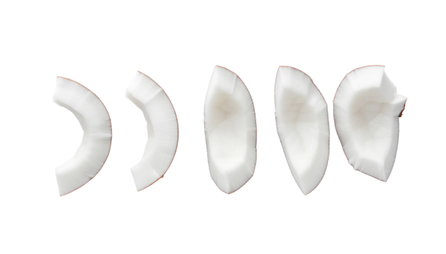 Arrangement of five white coconut pieces, varying in shape and size, displayed in a horizontal line on a flat surface. pure white background