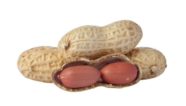 A pile of peanuts, some in their shells and one open showing two red peanuts, brown shells with ridges, close up view clean white background