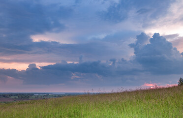 Field of grass with a cloudy sky in the background