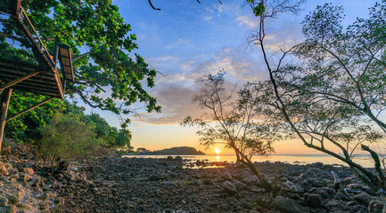 Beautiful sunset over the ocean with trees in the background