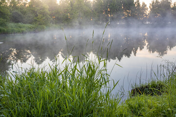 Foggy morning by a lake with a few trees in the background