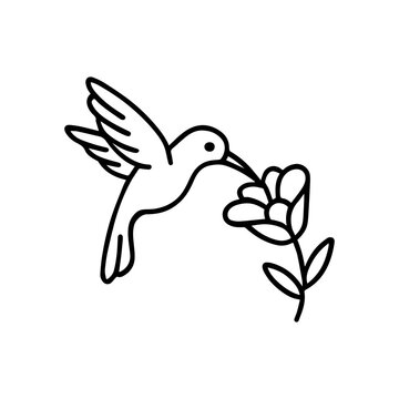 calibri over flower vector line icon on a white background
Vector line icon on a white background