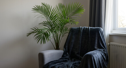 Cozy living room corner with a comfortable armchair draped in a soft blanket, next to a vibrant green palm houseplant by a bright window
