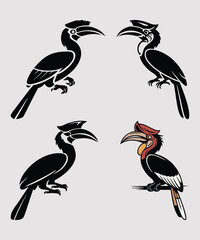 Naklejka premium Hornbill Bird Vector Set - Silhouette & Colored