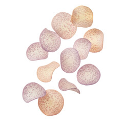 Delicate Translucent Shapes with Speckled Texture on Pastel Gradient