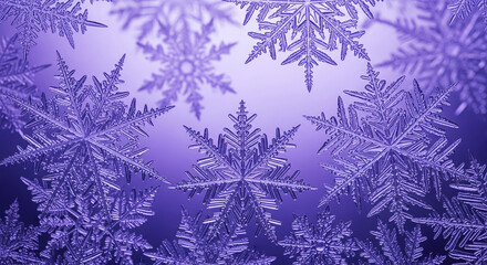 Close-up of purple snowflake, intricate crystal structure, representing winter season, frost, ice, cold weather, holidays, New Year, Christmas celebrations
