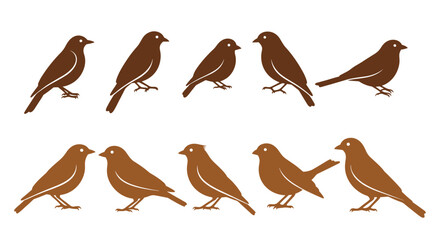 Obraz premium A collection of ten brown silhouettes of small songbirds like sparrows or finches in various standing and perching poses.