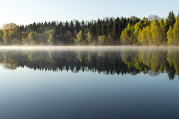 Mirror-Smooth Lake Reflects Serene Forest on Sunny Day for Peaceful Nature Scene.