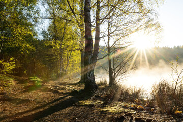 Obraz premium Mirror-Smooth Lake Reflects Serene Forest on Sunny Day for Peaceful Nature Scene.