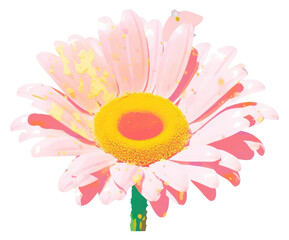 PNG A sunflower petal daisy plant.