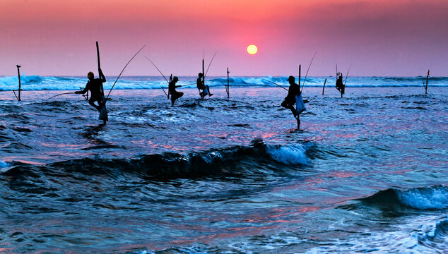 traditional stilt fishermen of sri Lanka fishing at sunset