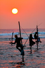 traditional stilt fishermen of sri Lanka fishing at sunset