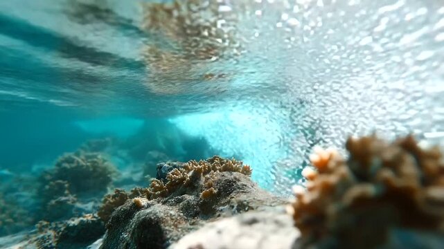 Ocean wave breaking over reef showing fish below surface, split-shot half above water, tropical day, with copy space