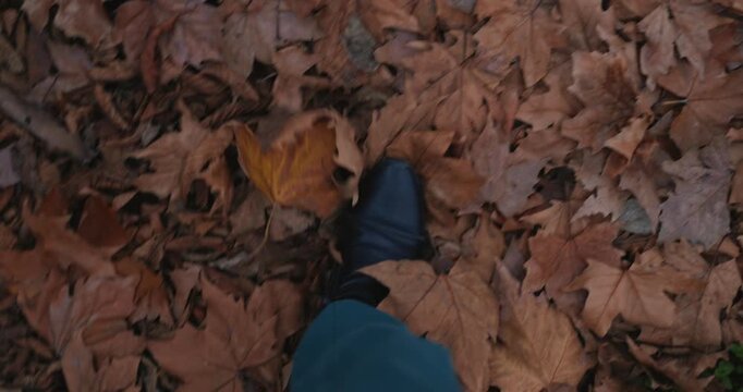 The rustling of autumn leaves under a man's feet. Video contains original audio.