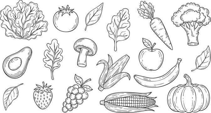 Hand-drawn vector illustration of assorted vegetables and fruits including tomatoes, carrots, and leafy greens for health and nutrition themes
