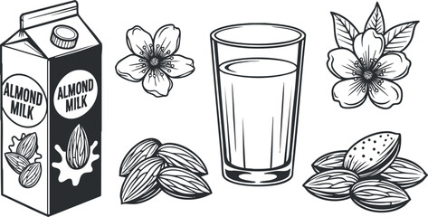 Vector illustration of almond milk packaging, glass, almonds, and almond flowers for healthy lifestyle concepts