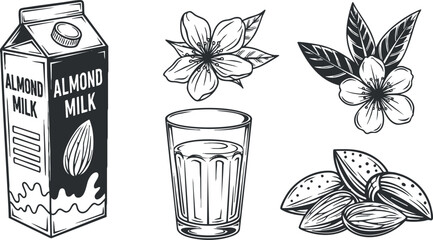 Black and white vector illustration showcasing almond milk carton, glass of milk, almonds, and almond flowers for healthy lifestyle designs