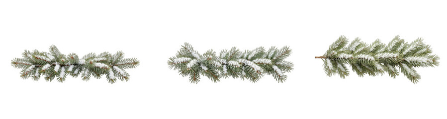 Snowy Pine or Fir Christmas Tree Branches, Winter Holiday Set Element on Transparent Background PNG, Oil Paint