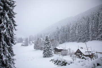 snow covered mountains
