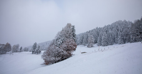 Obraz premium snow covered mountains