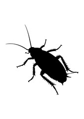 Cockroach Insect Silhouette