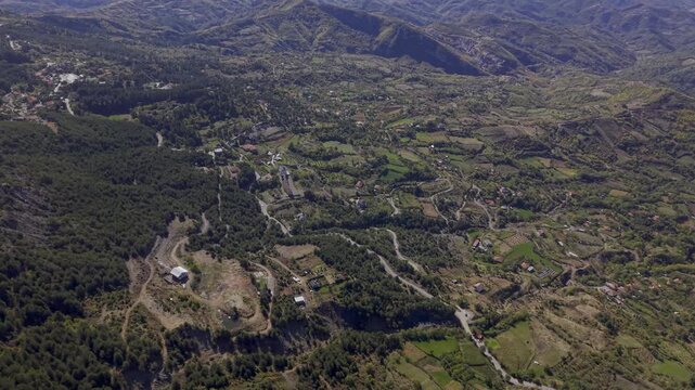 Nature really said &ldquo;reset&rdquo; today 🌳✨