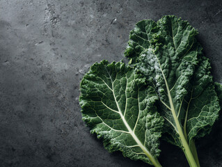 Fresh kale leaves on a stone surface, minimalist styling, soft shadows, high-definition texture.