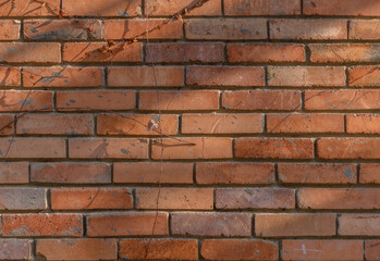 Shadow Pattern on Brick Wall