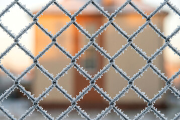 netting fence covered with frost
