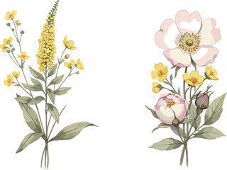 A charming collection of hand-drawn wildflower arrangements, one with yellow blooms and another with a pink wild rose and peony