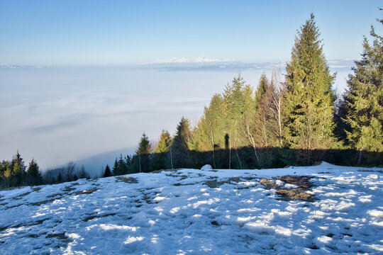 Aerial view of snow-dusted Slubica mountain, where the forest meets a sea of clouds under a clear blue sky, Spisska nova Ves, Kosicky kraj, Slovakia.