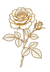 Delicate golden rose in full bloom with bud and textured leaves, uniquely outlined in sparkling metallic gold glitter with soft golden interior, on a transparent background with copy space,