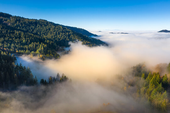Aerial view of a sea of clouds rolling through the valleys and forests, creating an ethereal landscape, Baden-Baden, Baden-Wuerttemberg, Germany.