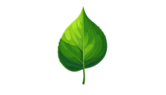 A vibrant, detailed illustration of a single green leaf. The leaf is split into two halves, with shading to show texture