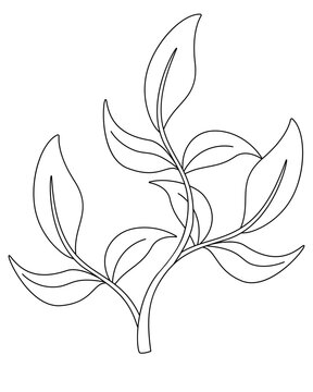 Seaweed, aquarium bush - vector linear illustration for coloring. Outline. Seaweed, underwater bush