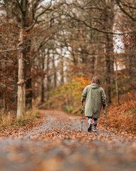 Fototapeta premium Elderly woman walking alone with trekking poles on a forest path in autumn.