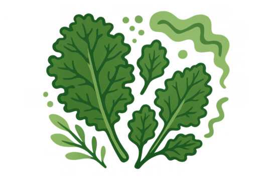 Organic fresh green leafy vegetables, including kale and other greens, for a healthy diet and natural food concept. Transparent background