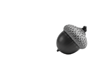 A single, perfectly formed acorn with a smooth, glossy nut and an intricately textured, scaled cap, on a transparent background with soft shadow and copy space, concept of natural minimalism
