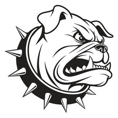 Stylized bulldog head with spiked collar and aggressive expression in black and white vector perfect for sports logos and branding