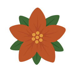 Fototapeta premium Warm festive poinsettia blossom with simple flat petals and leaves, perfect for cheerful holiday designs.