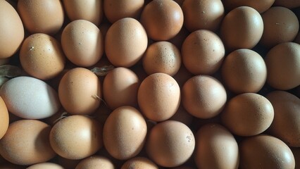 chocolate eggs in a row