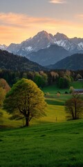 Fototapeta premium Scenic landscape with snow-capped mountains and vibrant green fields at sunset