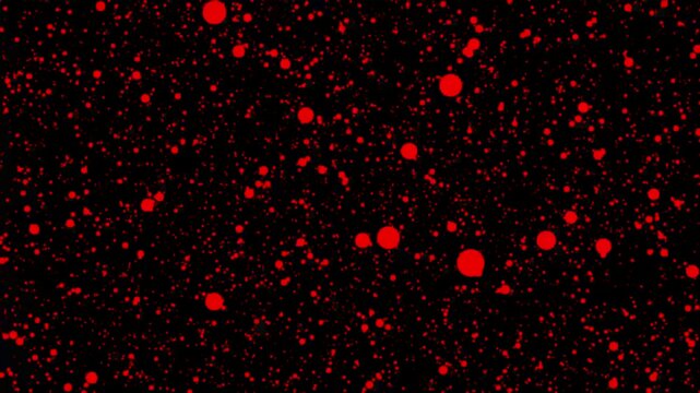 Falling snow flakes overlay. Easy to key out the background or to add over your composition,Snow flakes flying up, like Stranger Things. Alpha.