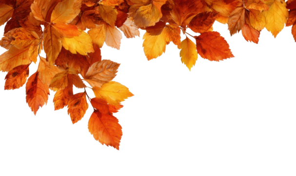 PNG Vibrant autumn leaves on white. - Powered by Adobe
